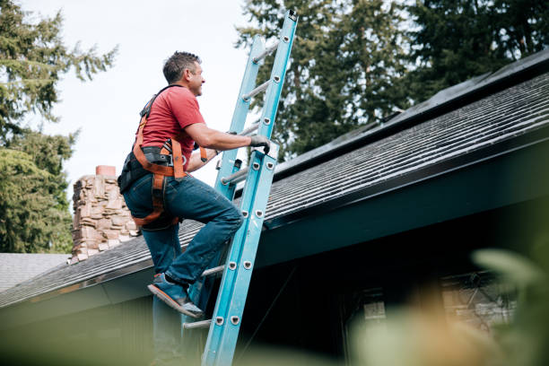 Best Chimney Flashing Repair  in Wixom, MI